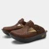 Shoes Classic Delicut Tawny Shoe -Alegria Shoes Sale ALG 7608 S1 931d0b3c 2ae0 4e3a 8c16 b997c1d7d077