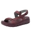 Henna Plum Sandal -Alegria Shoes Sale HEN 7433 S1