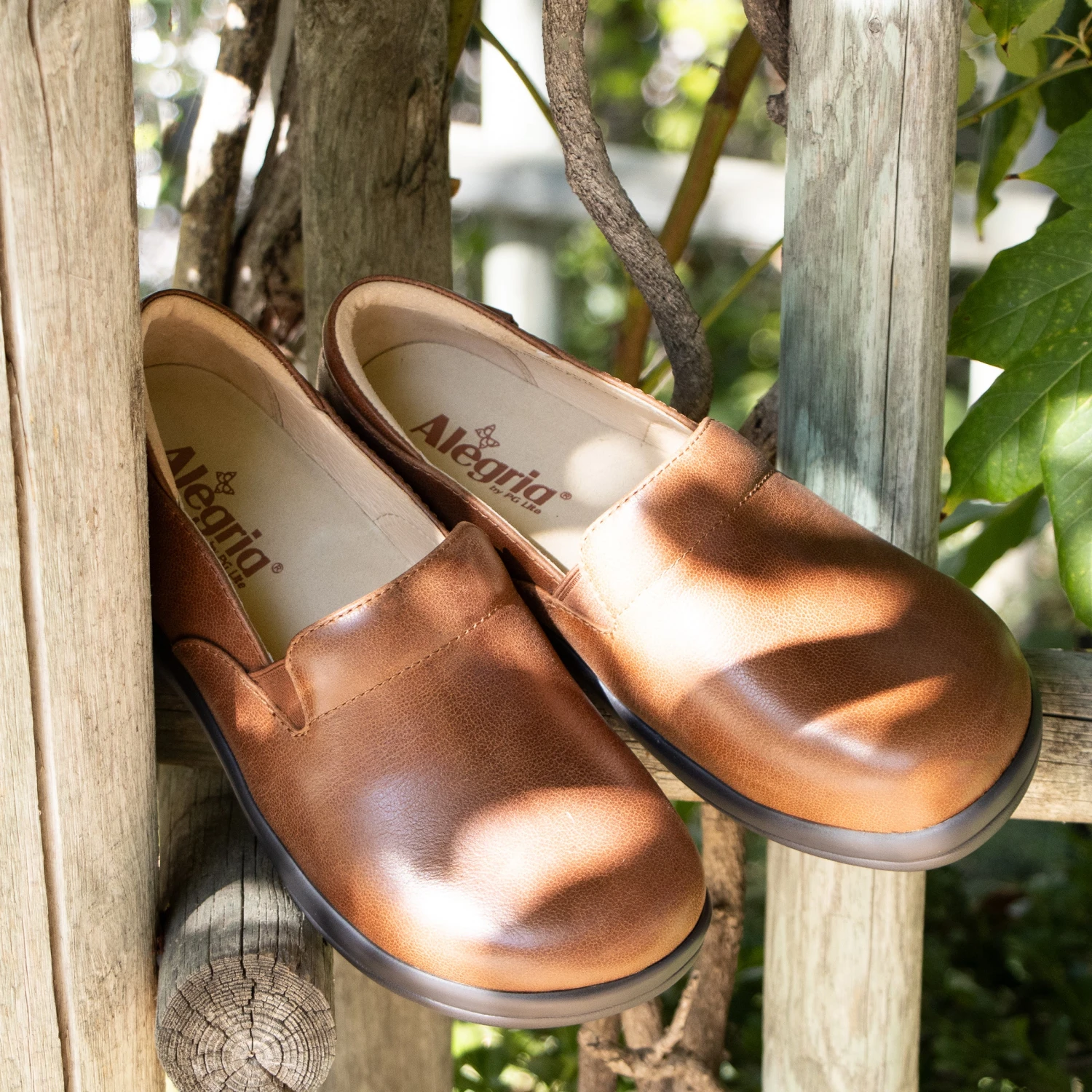 Shoes Keli Walnut Professional Shoe 4 Shoes Keli Walnut Professional Shoe - Image 2