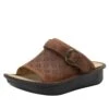 Klover Burnish Tawny Sandal 1 Klover Burnish Tawny Sandal -Alegria Shoes Sale KLO 7403 S1