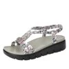 Roz Lovely Grey Sandal 1 Roz Lovely Grey Sandal -Alegria Shoes Sale ROZ 7552 S1 2dafba3e c004 4856 b23d 393a680c7bdd
