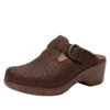Shoes Selina Tawny Delicut Shoe -Alegria Shoes Sale SEL 7608 S1