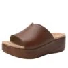 Triniti Clay Sandal 2 Triniti Clay Sandal -Alegria Shoes Sale TRI 7407 S1